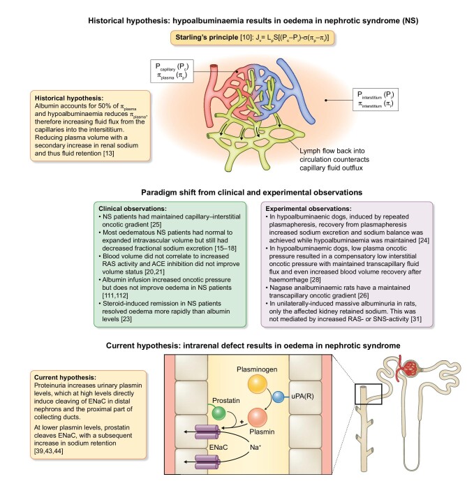 FIGURE 1: