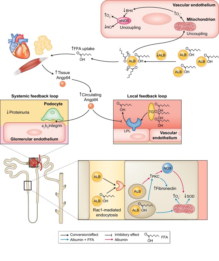 FIGURE 4: