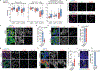 Extended Data Fig. 8 |