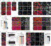 Extended Data Fig. 6 |