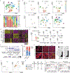 Extended Data Fig. 9 |