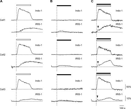 Figure 7.