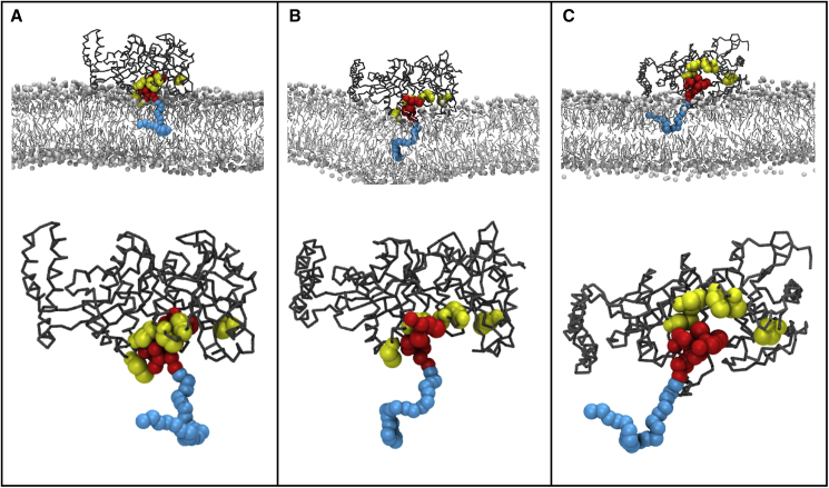 Figure 4