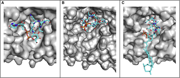 Figure 3