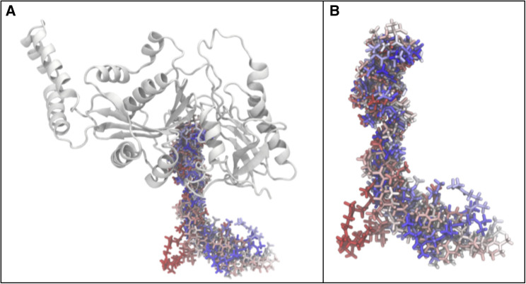 Figure 5