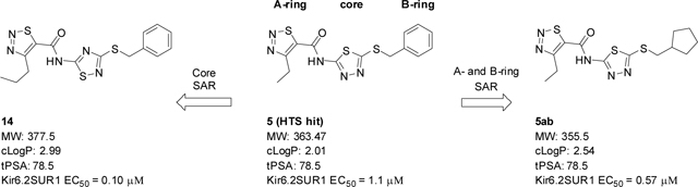 graphic file with name nihms-1887285-f0005.jpg