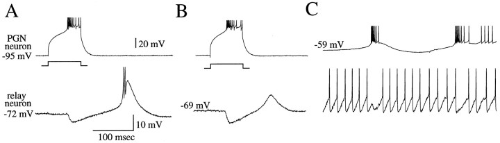 Fig. 5.