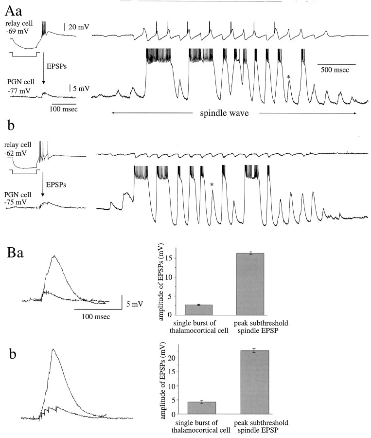 Fig. 11.