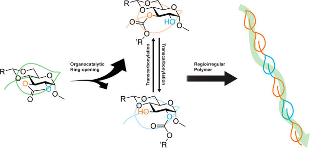 graphic file with name au1c00545_0005.jpg