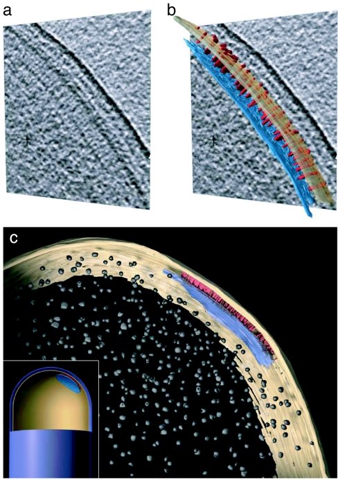 Fig. 2.