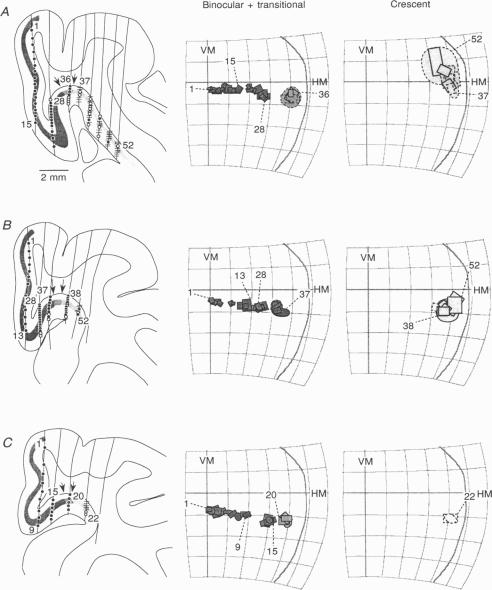 Figure 4 (cont.)