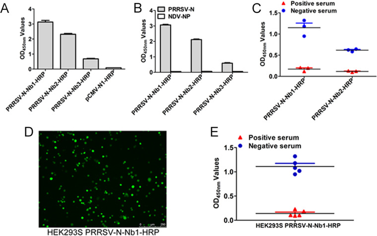 FIG 4