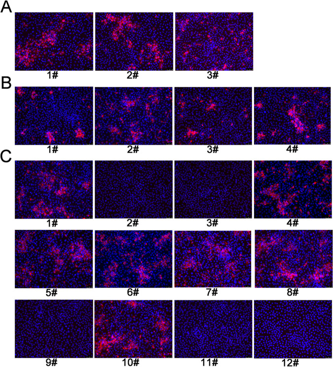 FIG 8