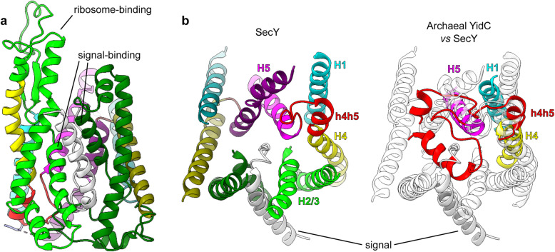 Fig. 7