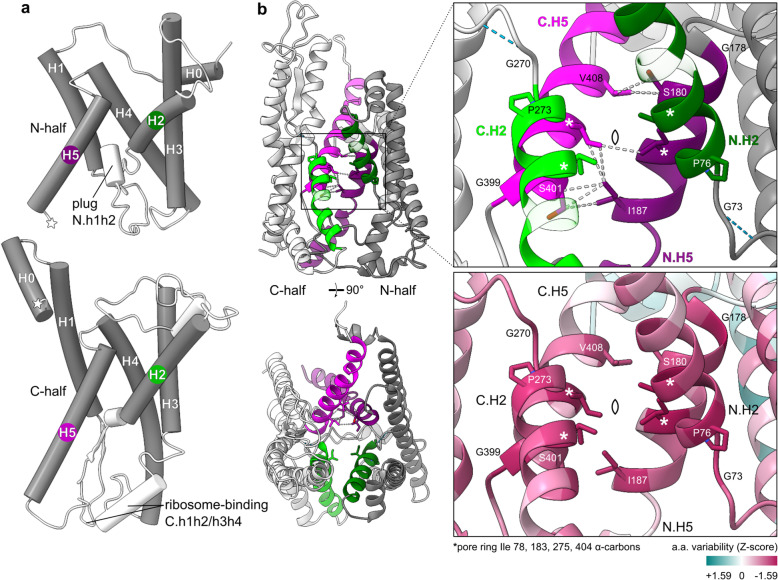 Fig. 2