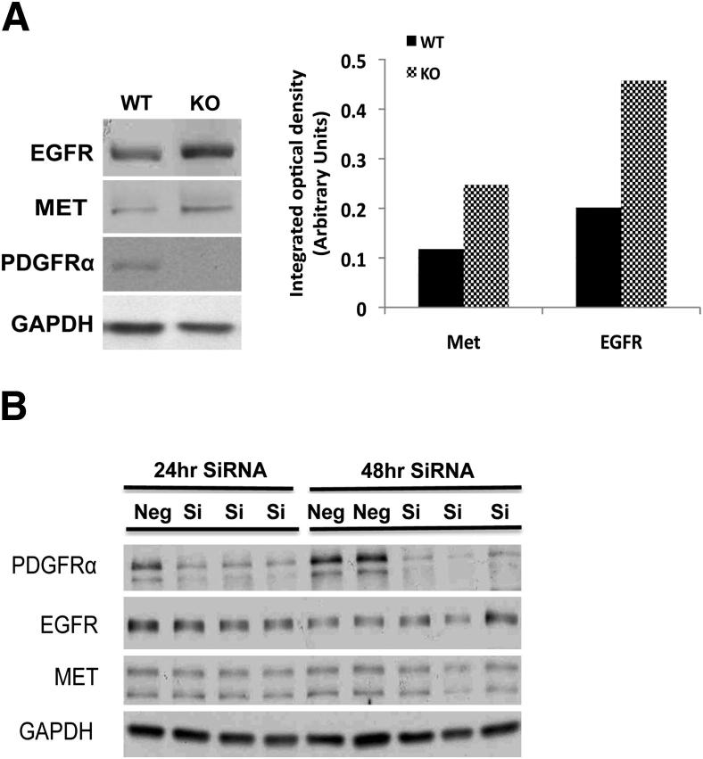 Figure 7