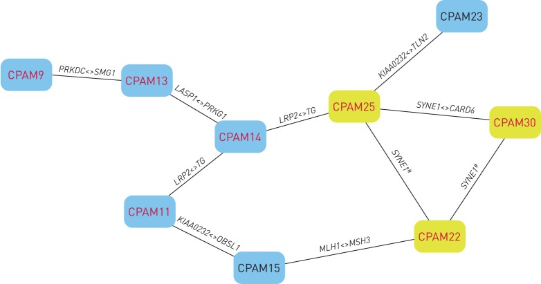 FIGURE 1