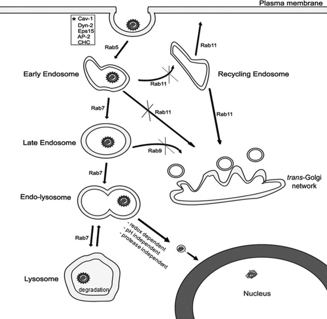 Fig 9