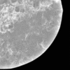 Figure 3e:
