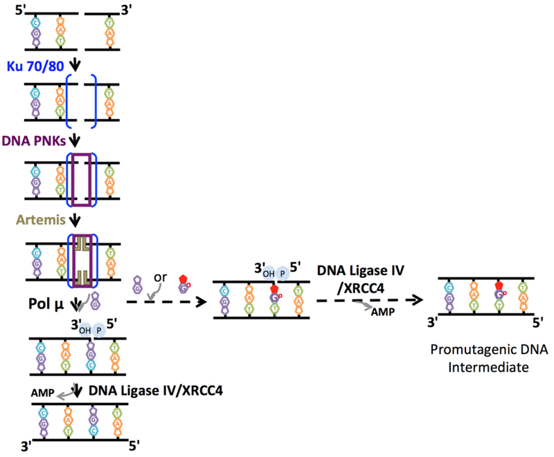 Figure 5.