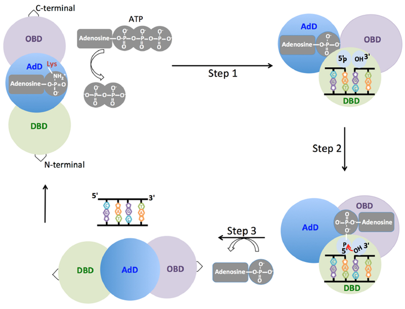 Figure 2.