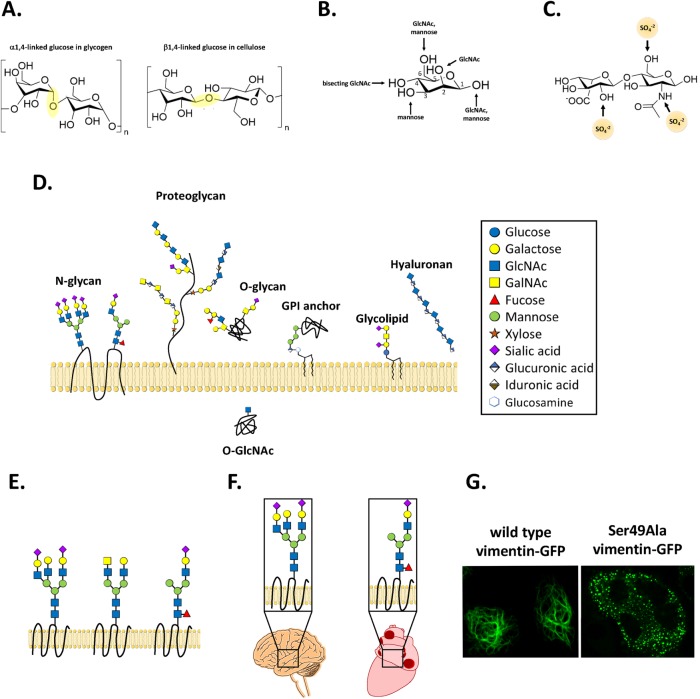 FIGURE 1: