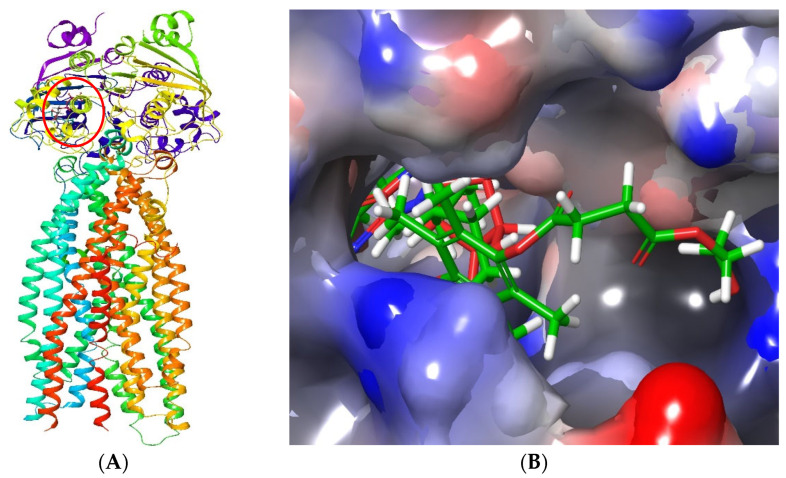 Figure 14