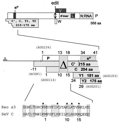 FIG. 1