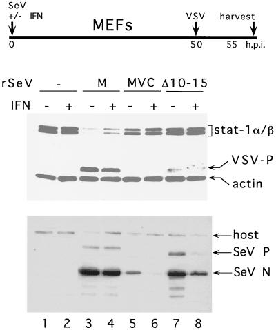 FIG. 6