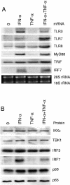 FIG. 5.