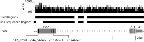 Figure 3