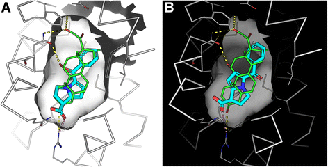 Fig. 10