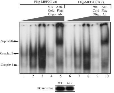 FIG. 5.