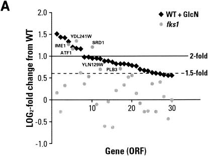 FIG. 7.