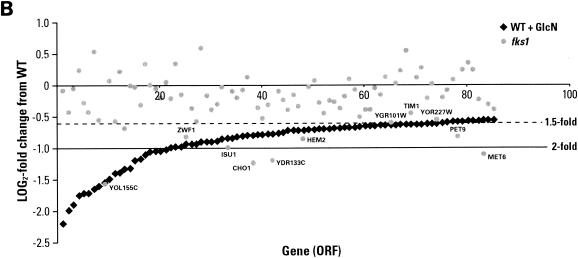 FIG. 7.