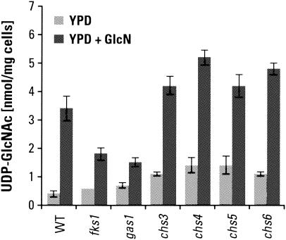 FIG. 6.