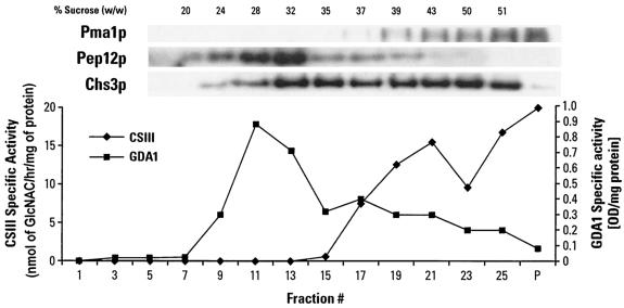 FIG. 9.