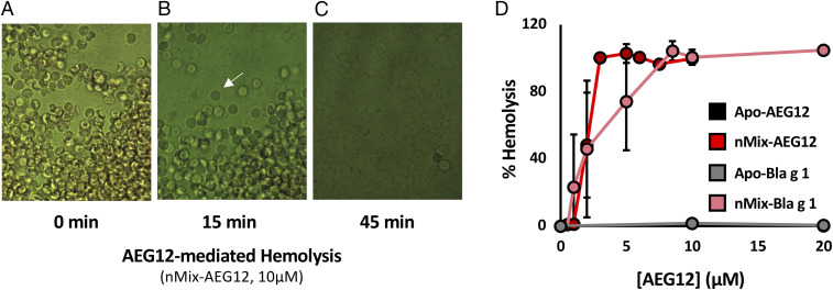 Fig. 2.