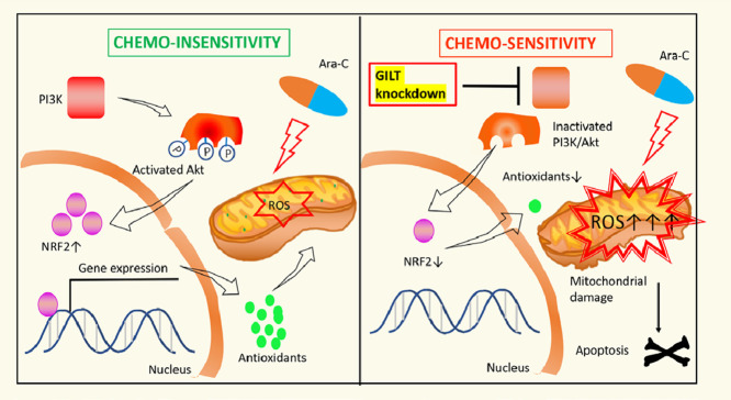 Image, graphical abstract