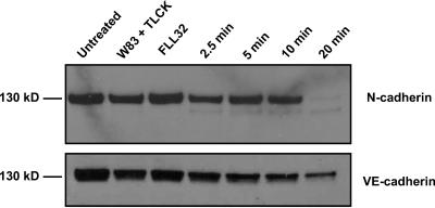 FIG. 5.