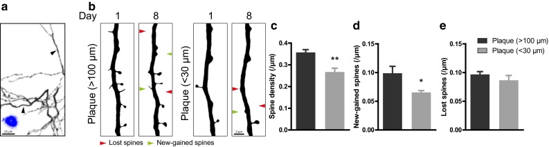 Fig. 4