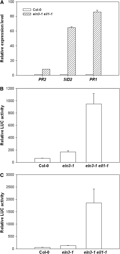 Figure 5.