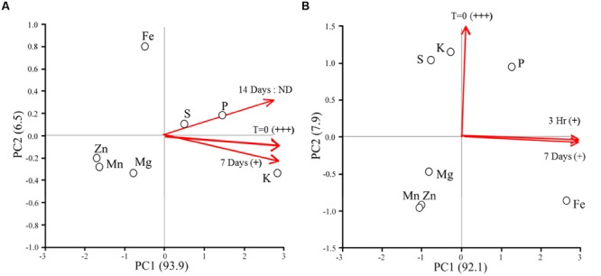 FIGURE 3