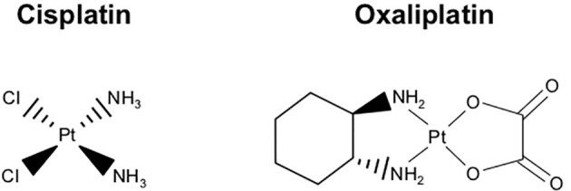 Figure 9