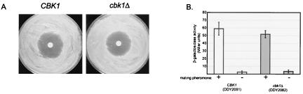 FIG. 7