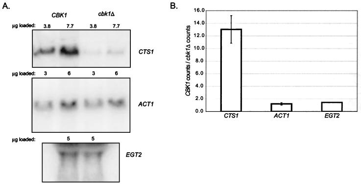 FIG. 9