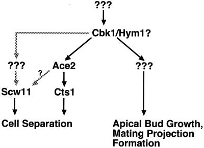 FIG. 12