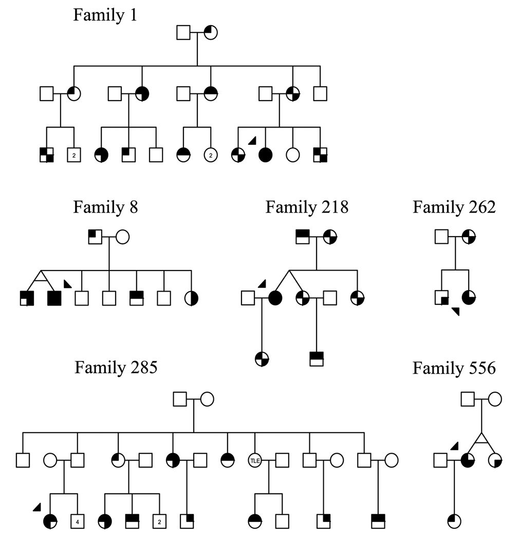 FIG. 1