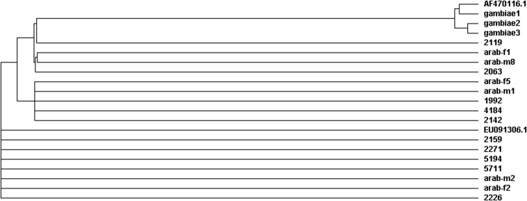 FIGURE 3