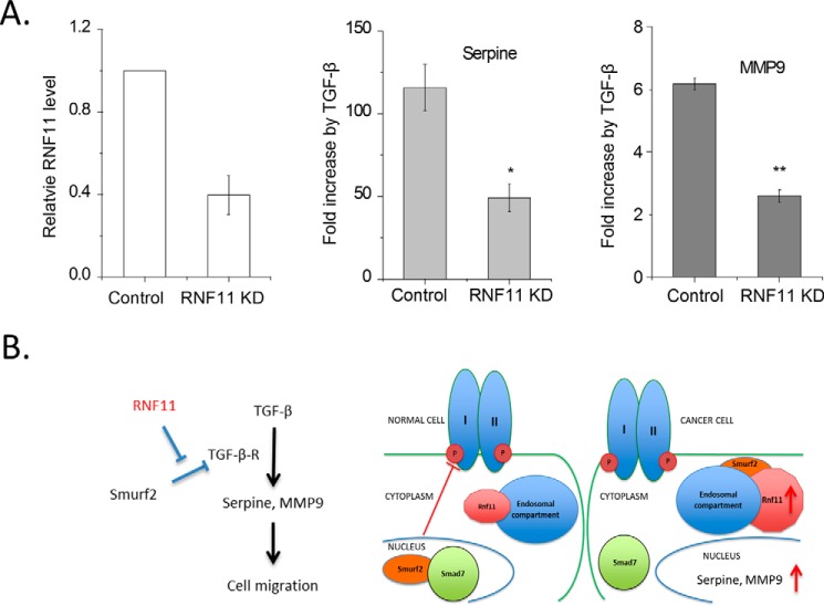 Figure 11.